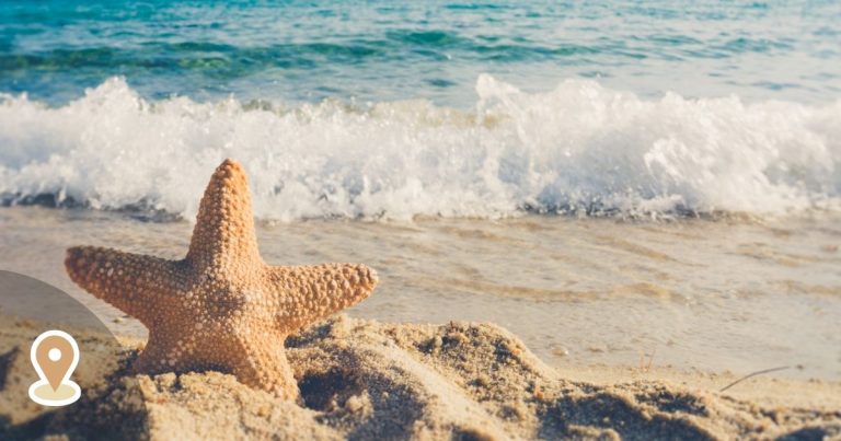 Best Beaches on the Costa del Sol